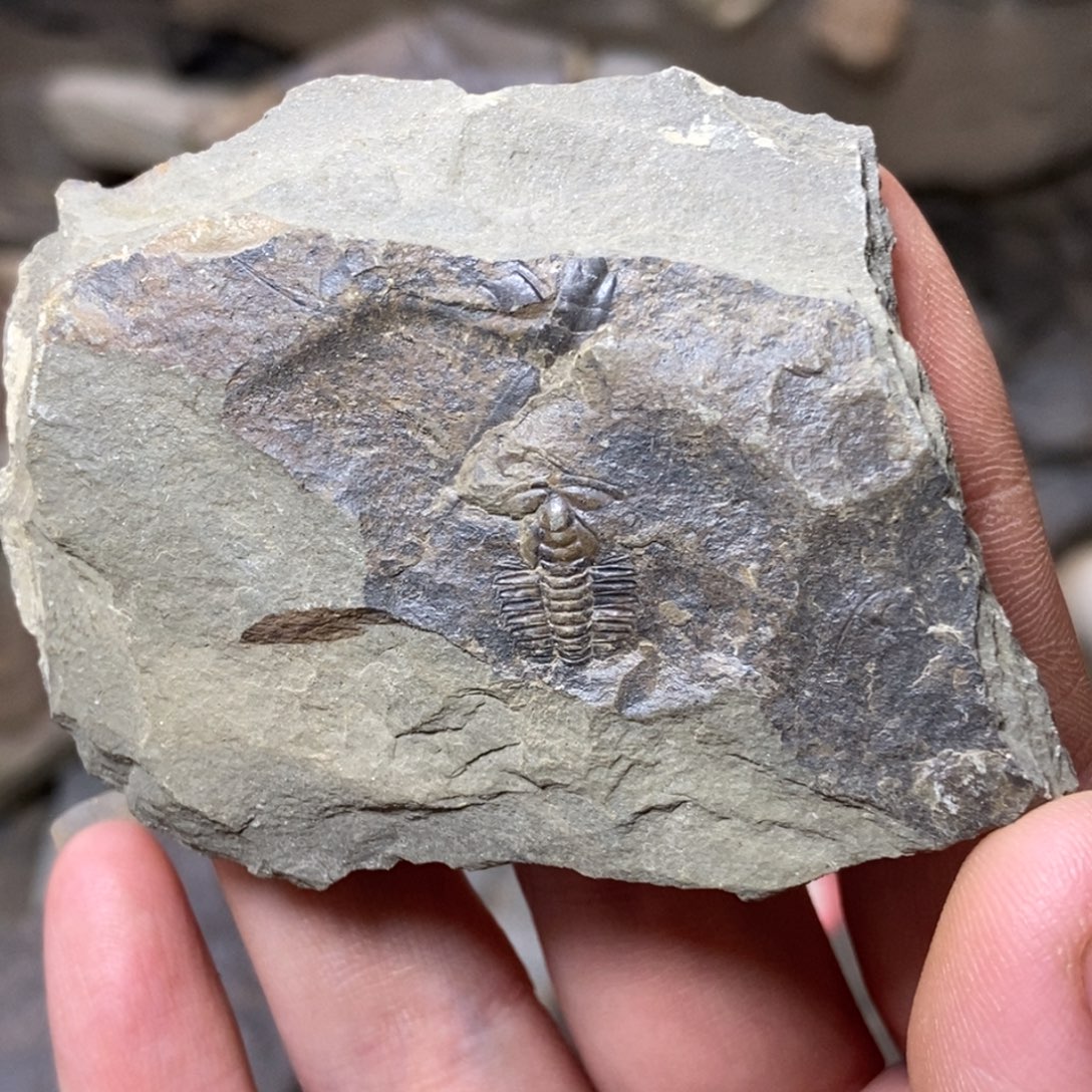 用***就石材11111111111111