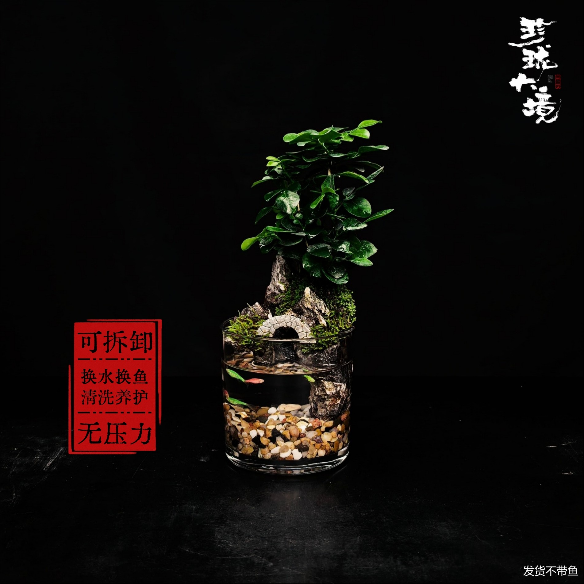 [飞桥2.0a]九里香可拆洗驱蚊真绿植国风摆件鱼缸微景观10*10cm