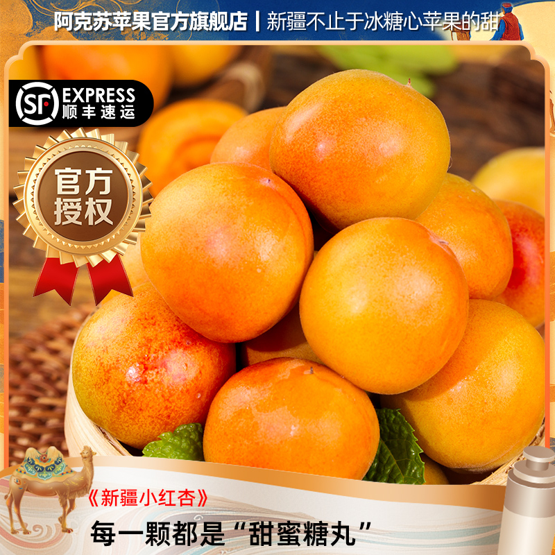 【新疆官方店】新疆阿克苏小红杏新鲜水果吊干杏软糯香甜顺丰包邮