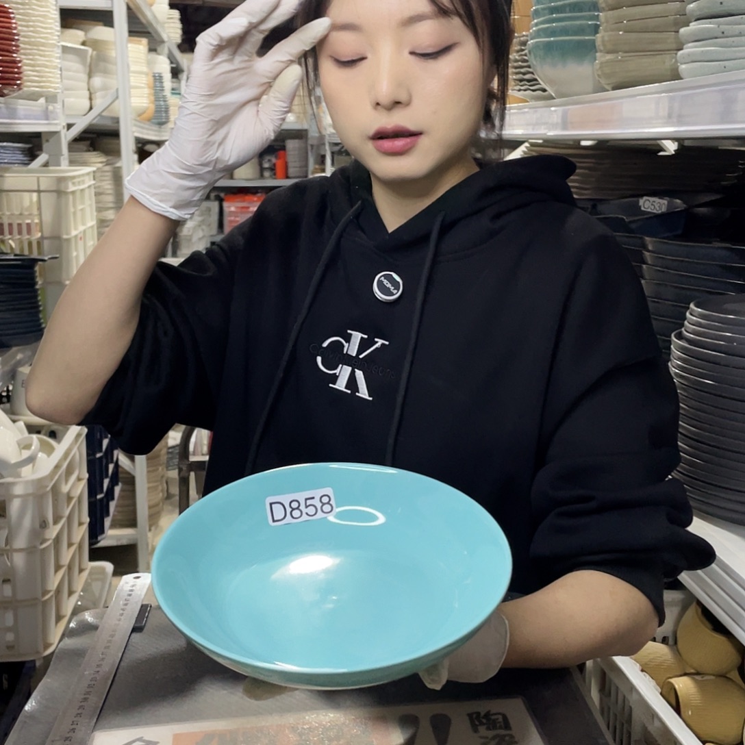 瓷片858              2个