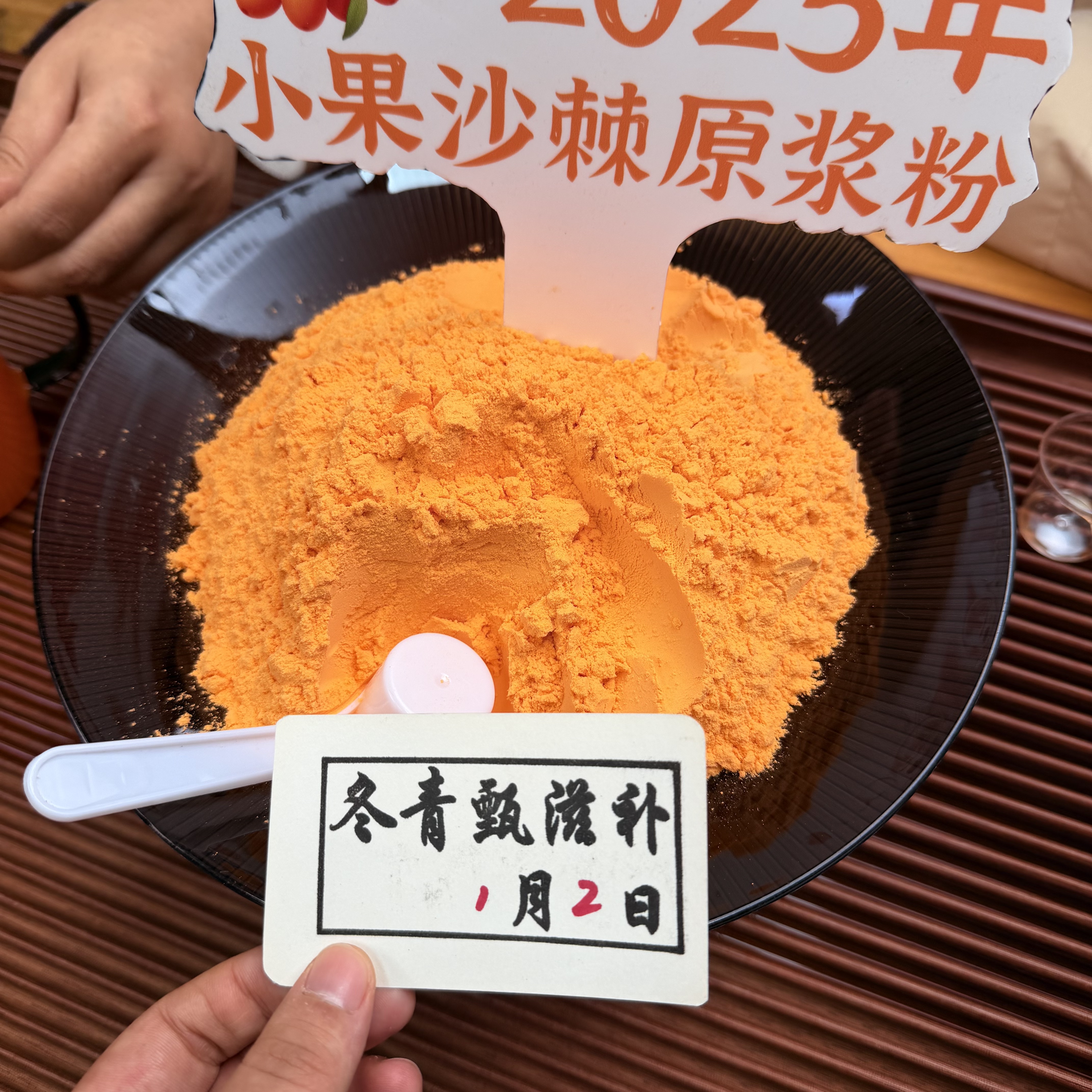 【沙棘原浆冻干粉】2025年头茬沙棘 原浆冻干纯粉 冬青收茶