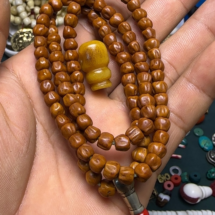 车***馆一条1111122222尔甲