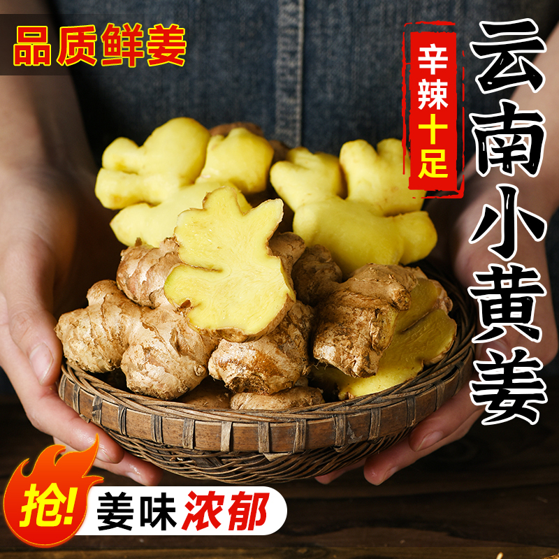 云南正宗小黄姜3斤老姜新鲜生姜高山沙姜老姜土姜蔬菜农家自种