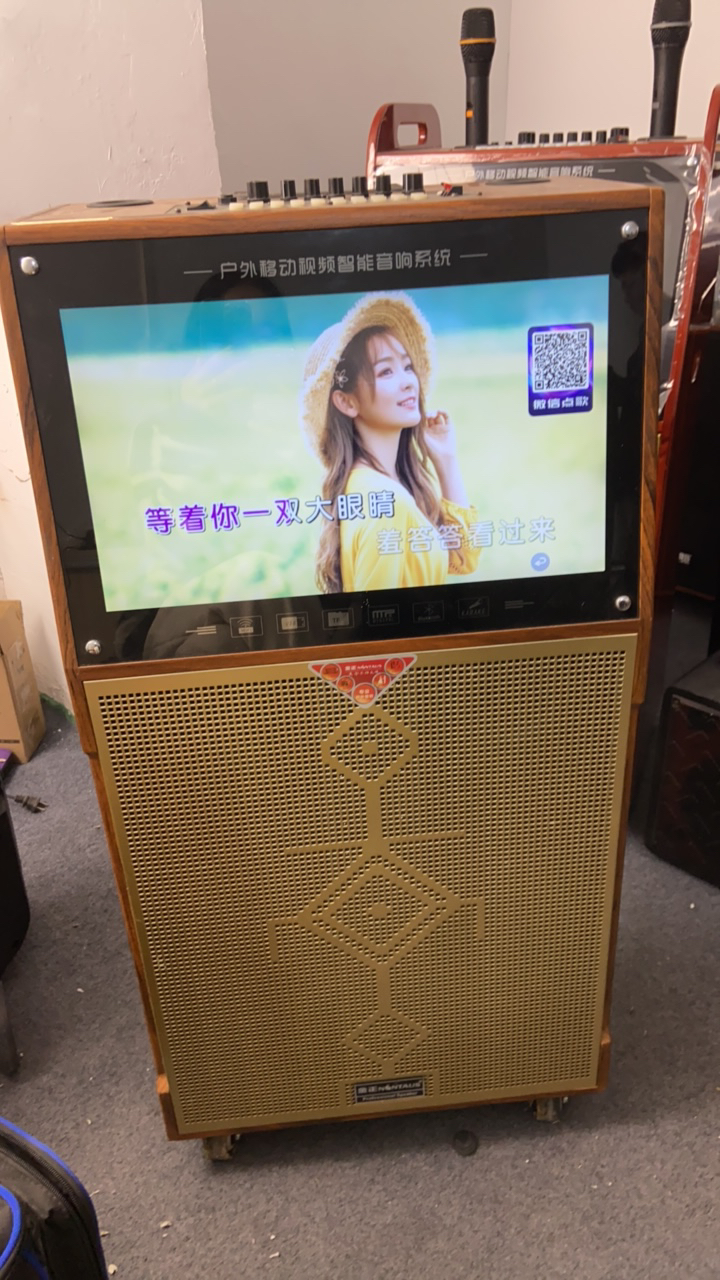 9新 NINTAUS/金正 309号A60单话筒蓝牙音箱音响唱歌声卡语音