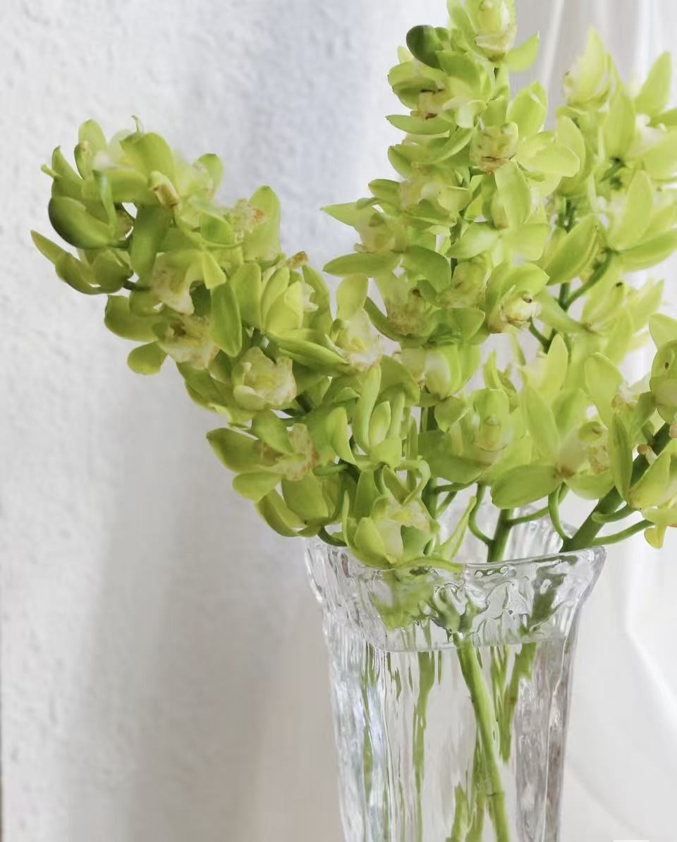 绿色蕙兰1枝    任意2单鲜花升级顺丰/德邦