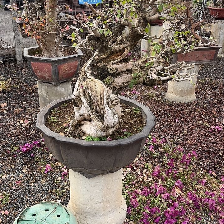 世***汇无花朵哈哈哈哈哈哈