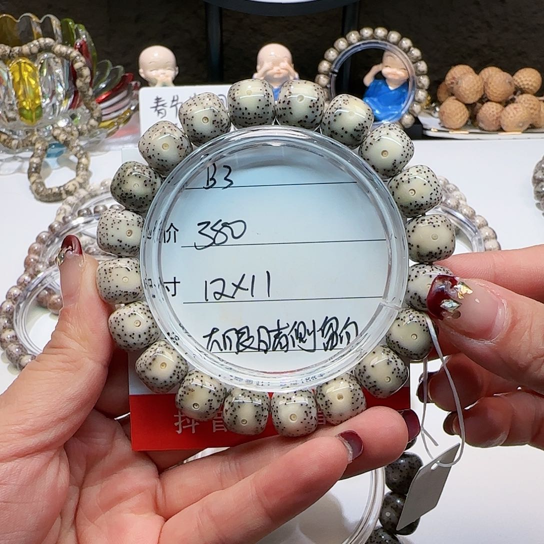 心月星月菩提一号B3