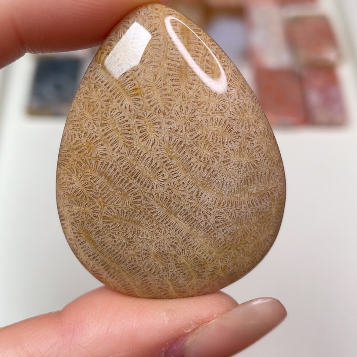 【闪购商品】未镶嵌吊坠(赠链)硅化玉
