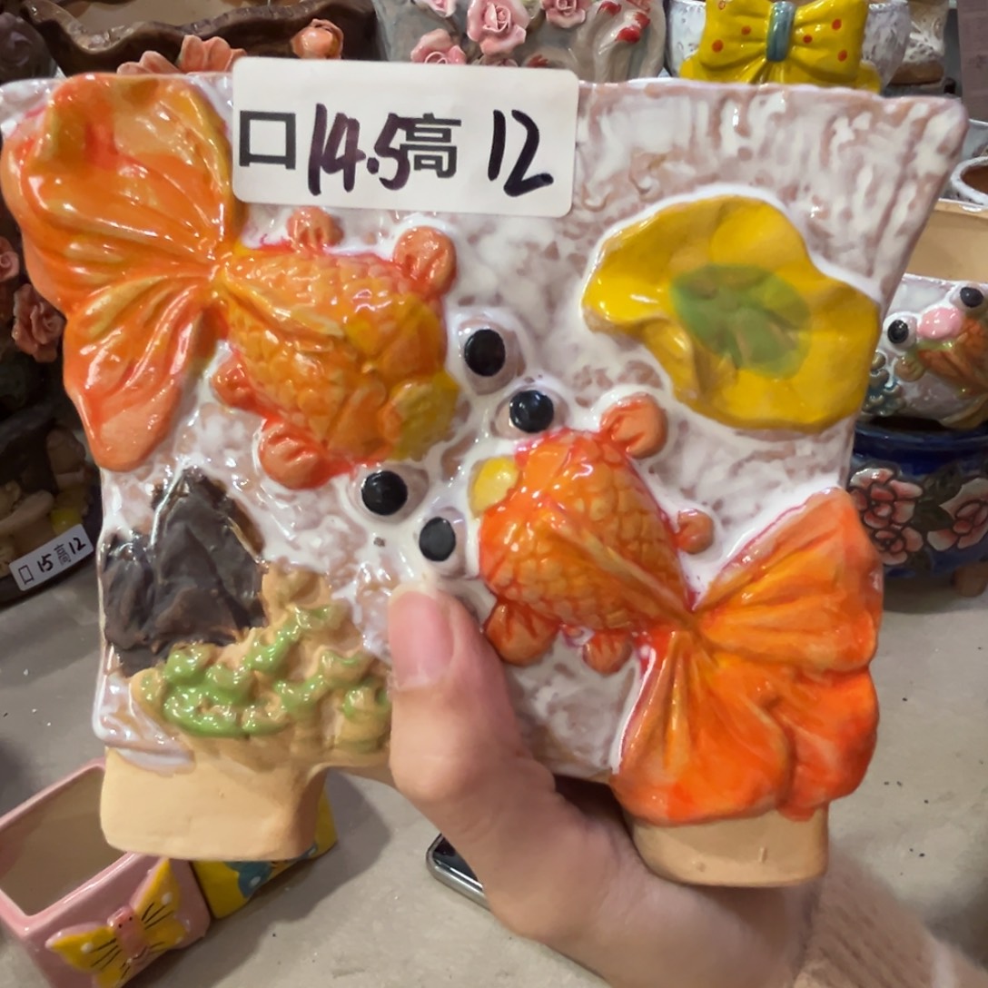 满20飞退款拉黑花盆