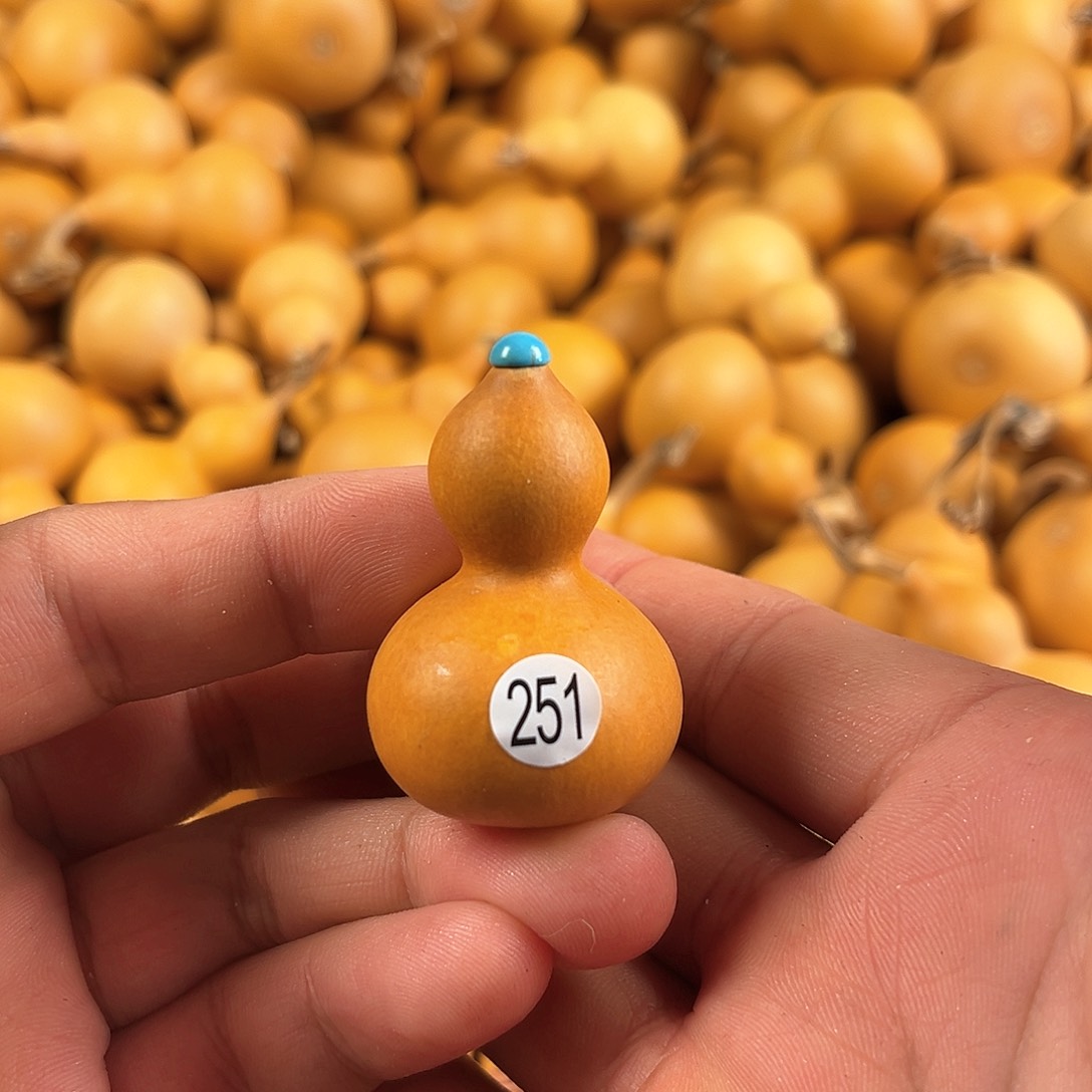 葫芦葫芦葫芦葫芦葫芦251