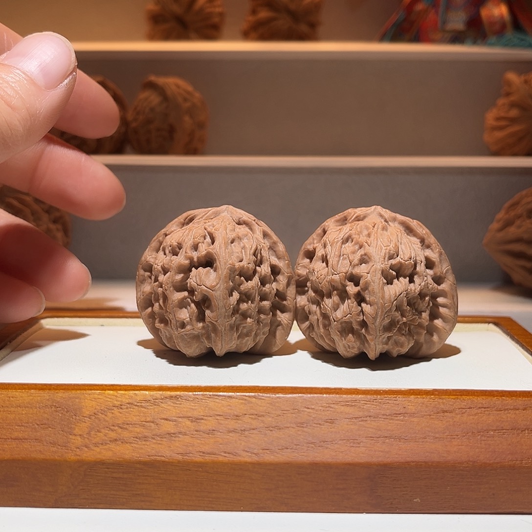 40全品三角白狮子……