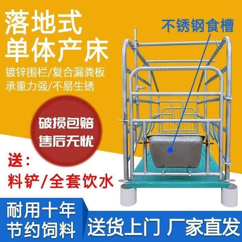 猪用产床产保一整套落地式双体母猪单体全套两用保育限位栏