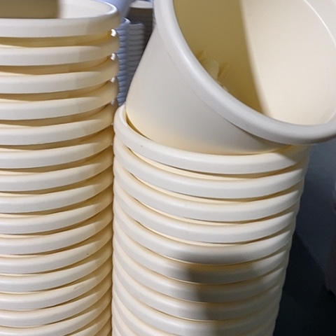 树脂四季3号果绿无托10个