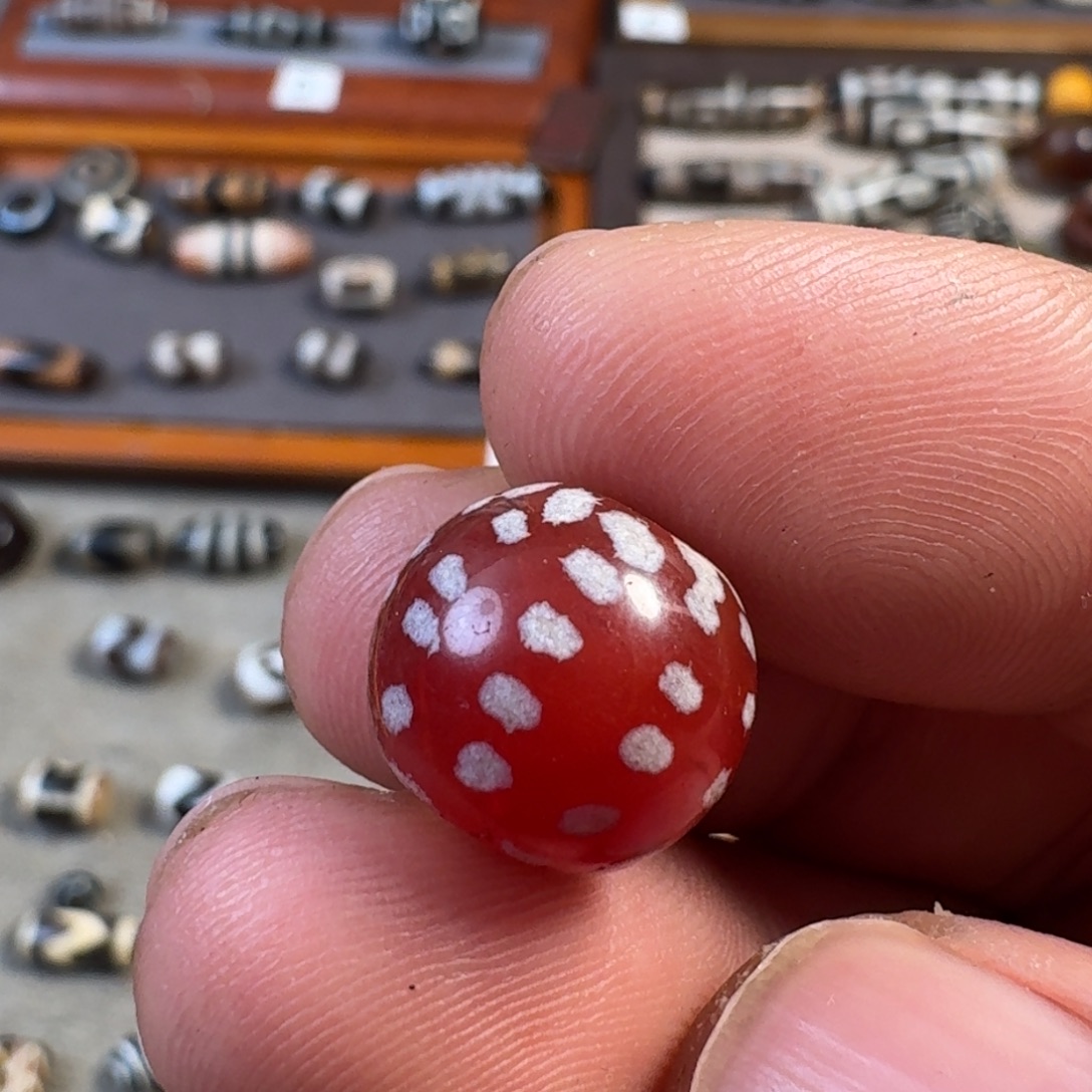 无非金属一物一图一物一图