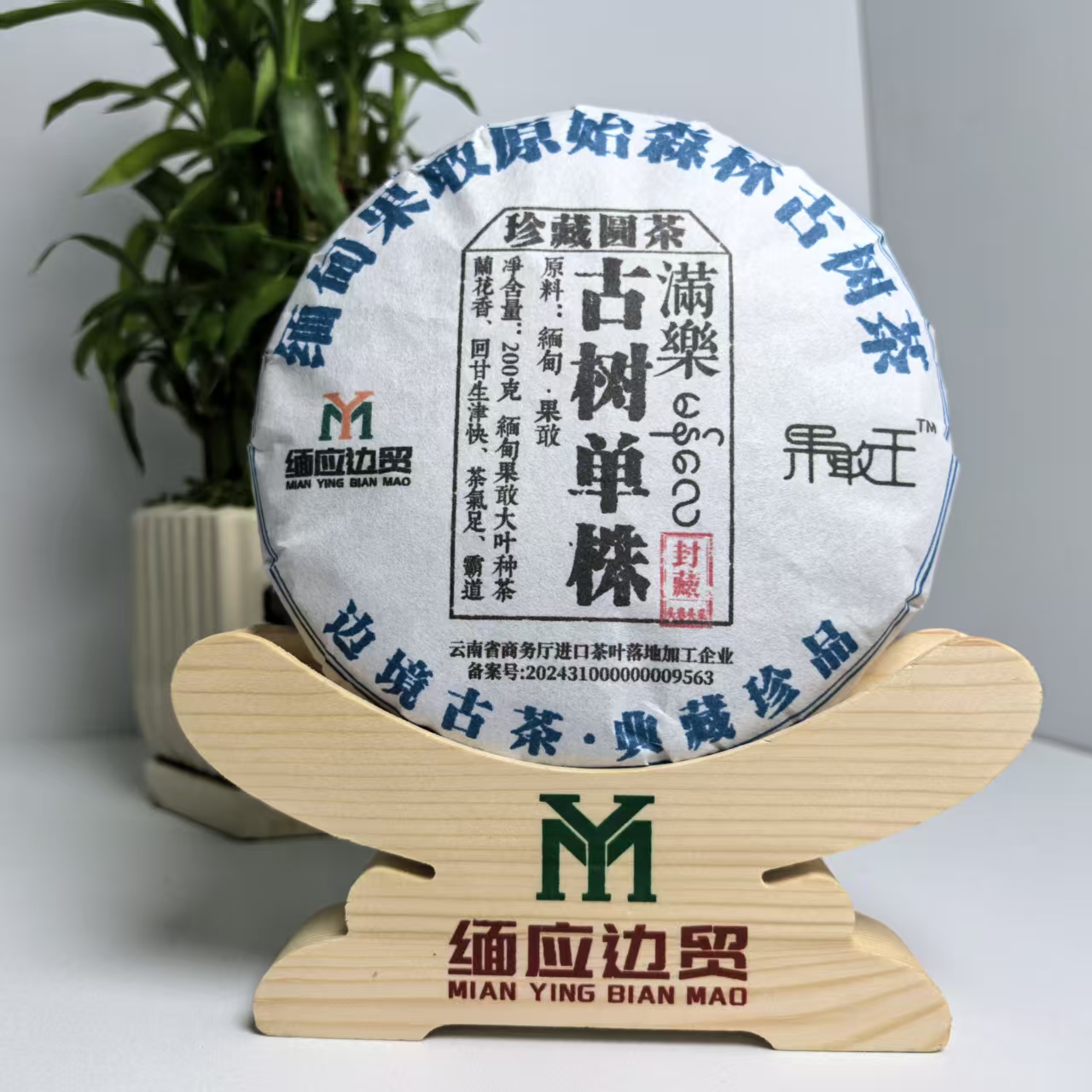 【缅应边贸】缅甸果敢大叶种 满乐古树单株200克 生茶茶饼/紧压茶