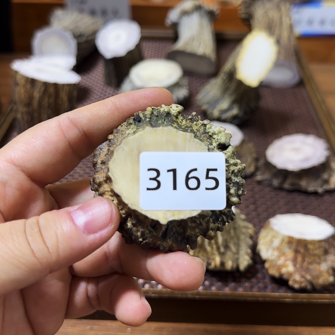 鹿骨手串/手链角帽3165