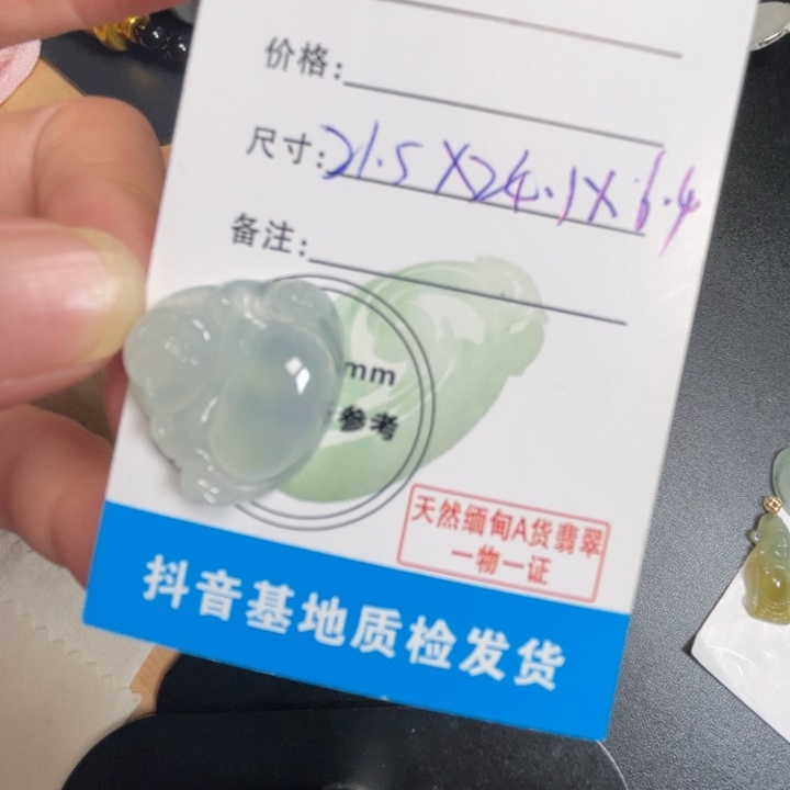 煤***u翡翠未镶嵌颈饰翡翠