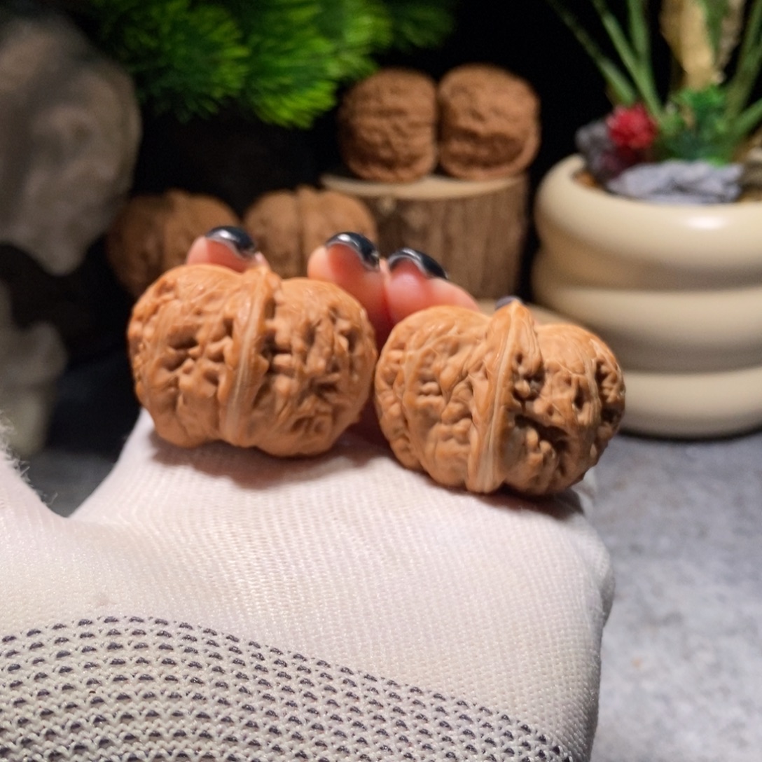 把件核桃全品42元宝毕业对