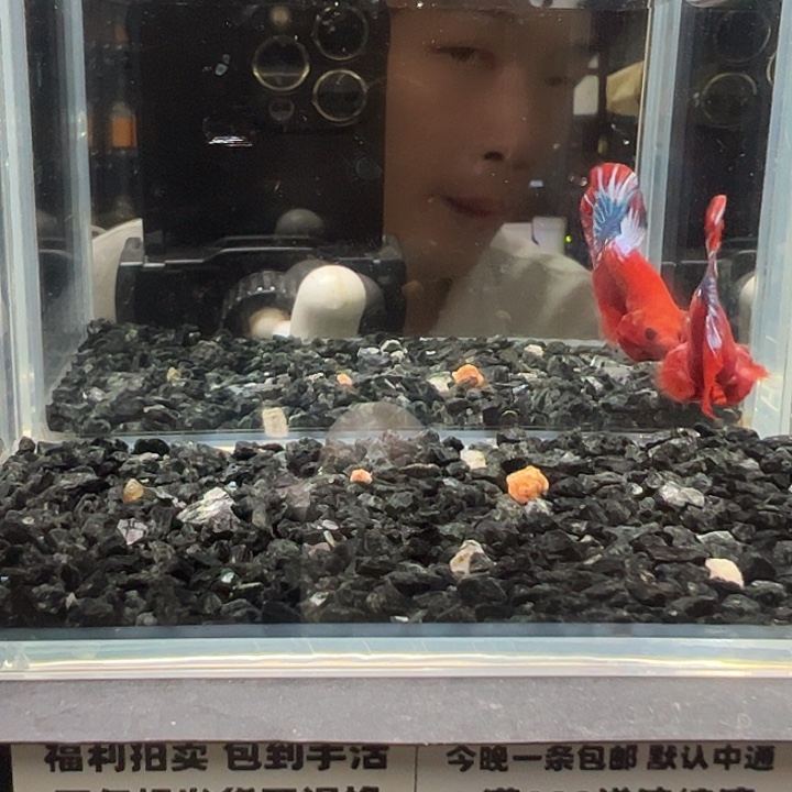 斗鱼跑单拉黑1日80