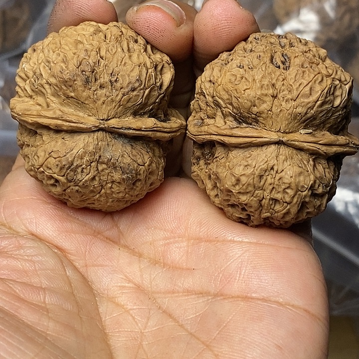 文玩核桃把件云南铁核桃96