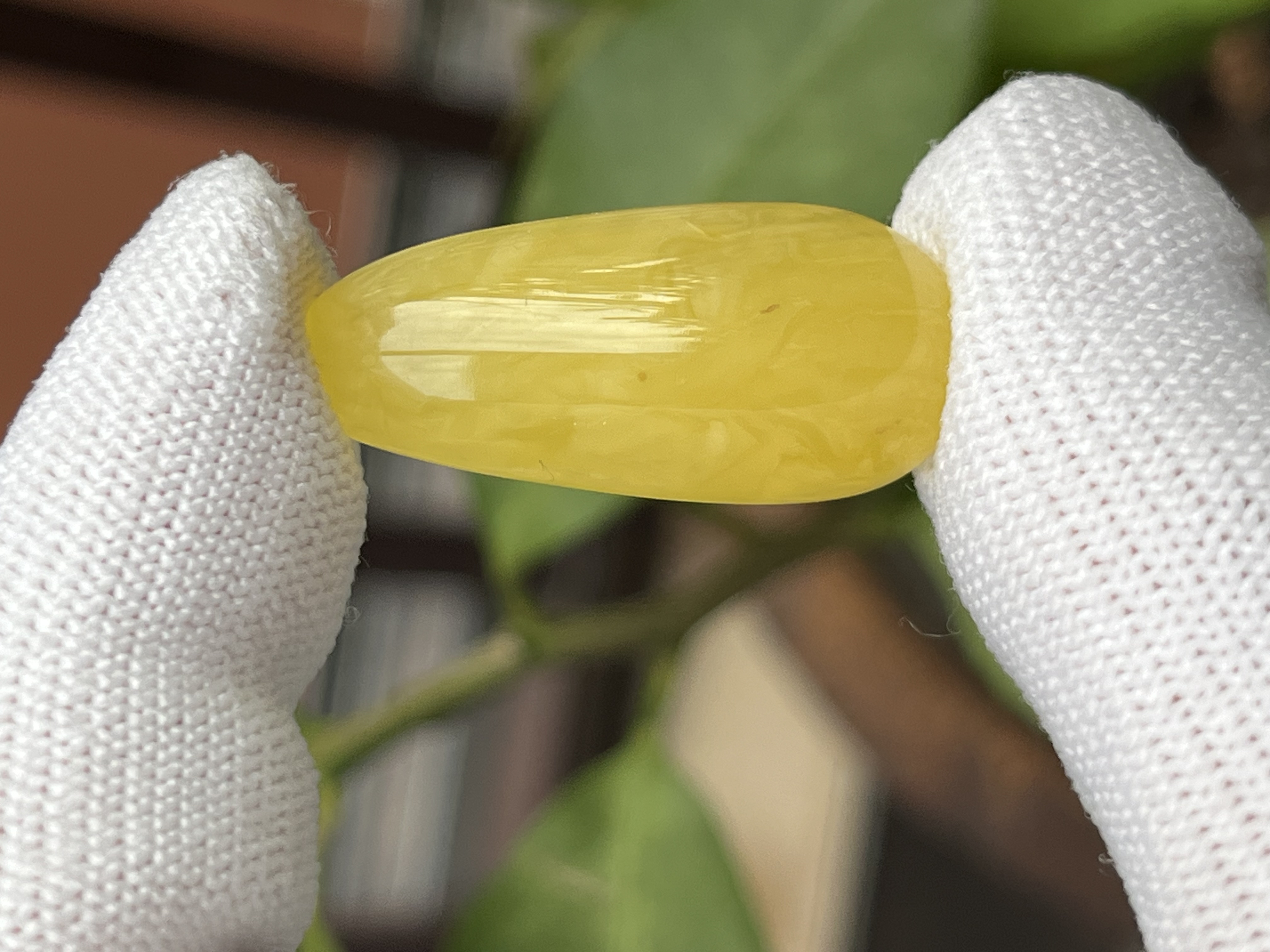 4355天然蜜蜡琥珀水滴14.2x31.7x7.8mm