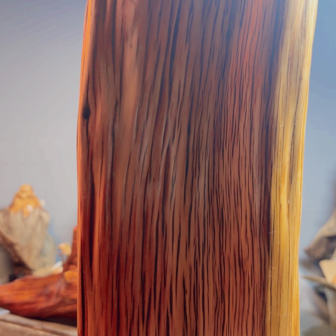 柏木（崖柏）崖柏888888888