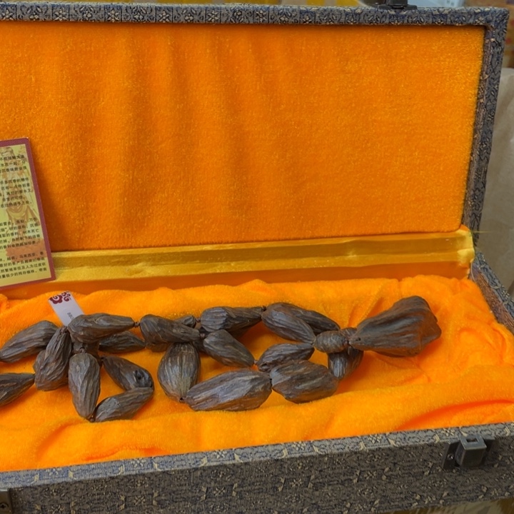 贝壳摆件烽云恩专属精选链接