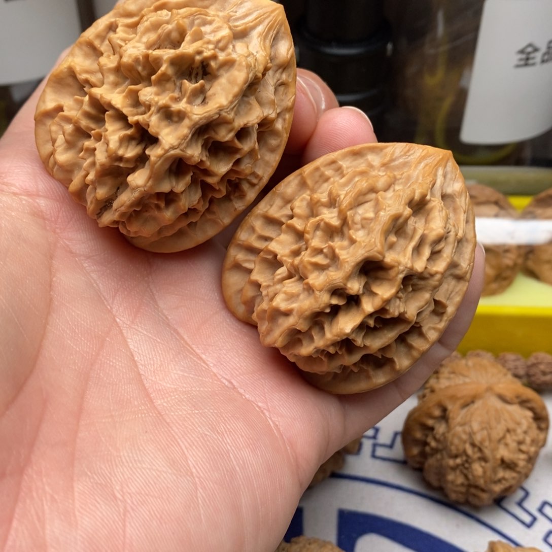 核桃把件?***海发财树秦岭核桃