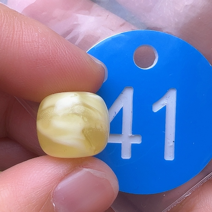 蜜蜡裸石未镶嵌金沙13m m