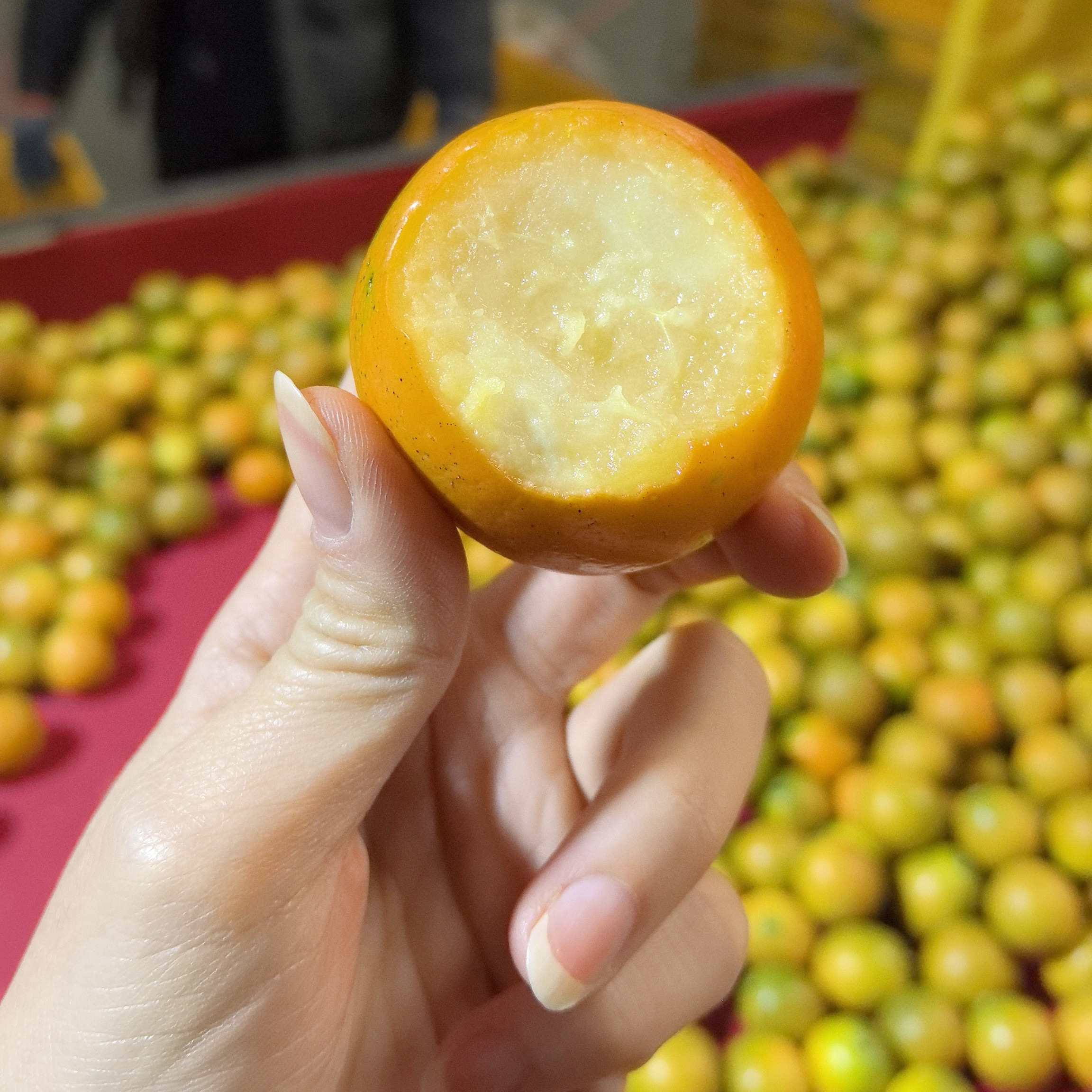 广西融安脆蜜金桔6号小果普通箱装快递