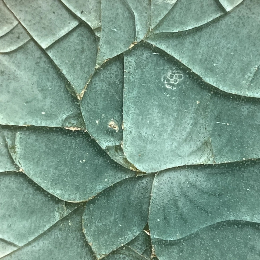 1号标本学习链接