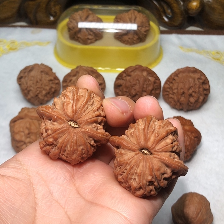 摩***生文玩核桃38.5血麒麟