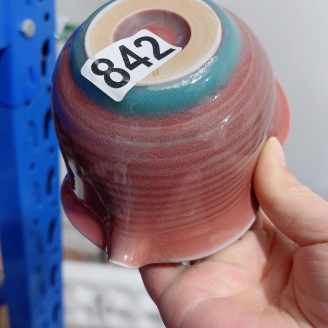 哈哈哈哈哈哈哈哈哈碗