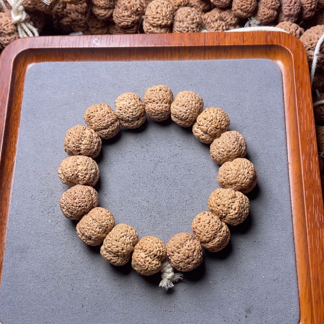 菩提籽类20号金刚菩提菠萝蜜20+