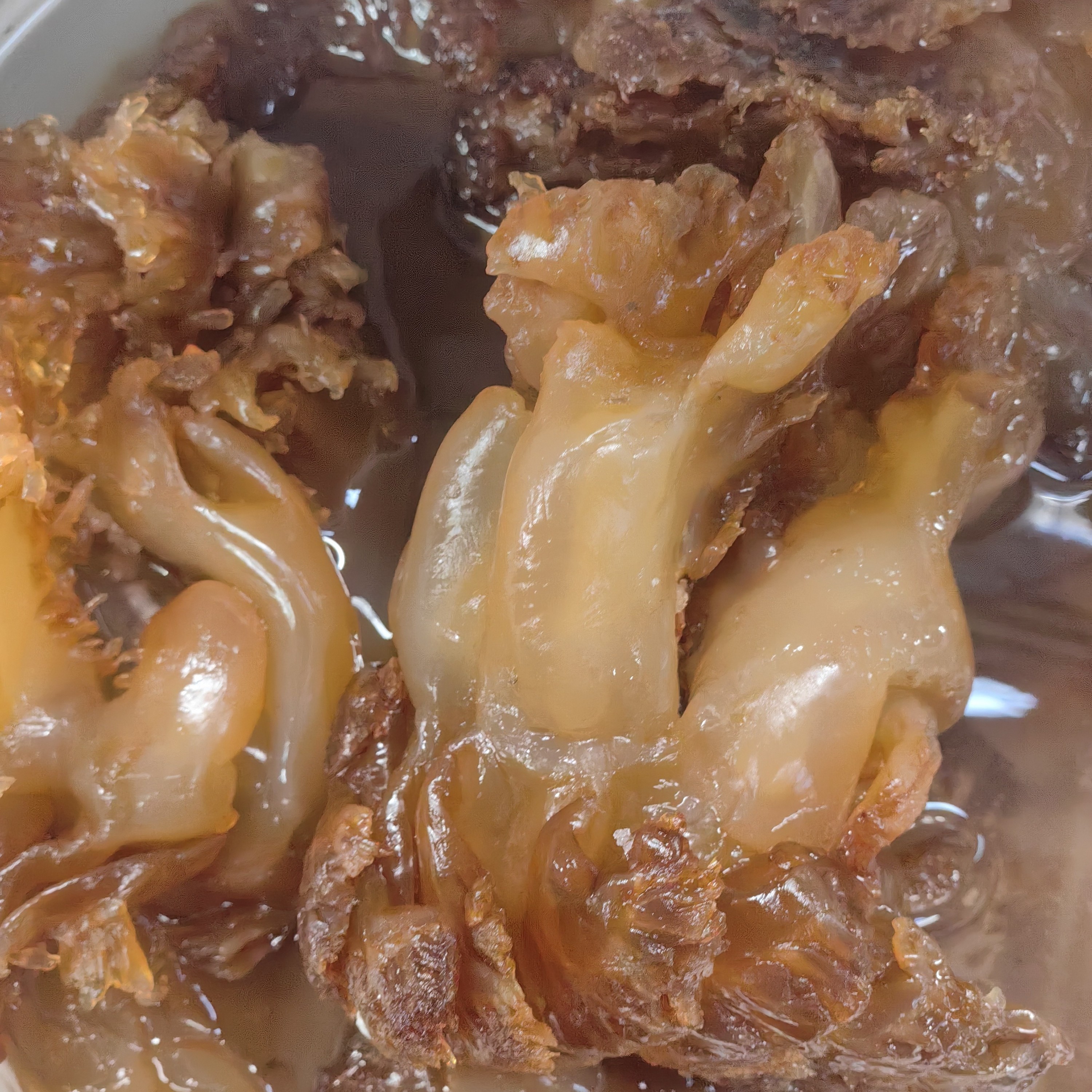 舟山本地新鲜爽脆海蜇头凉菜海蜇角桶装非即食凉拌菜海鲜脆脆