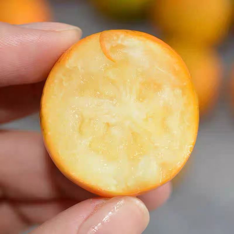 【亮哥专属】脆蜜金柑广西融安金柑脆甜爆汁