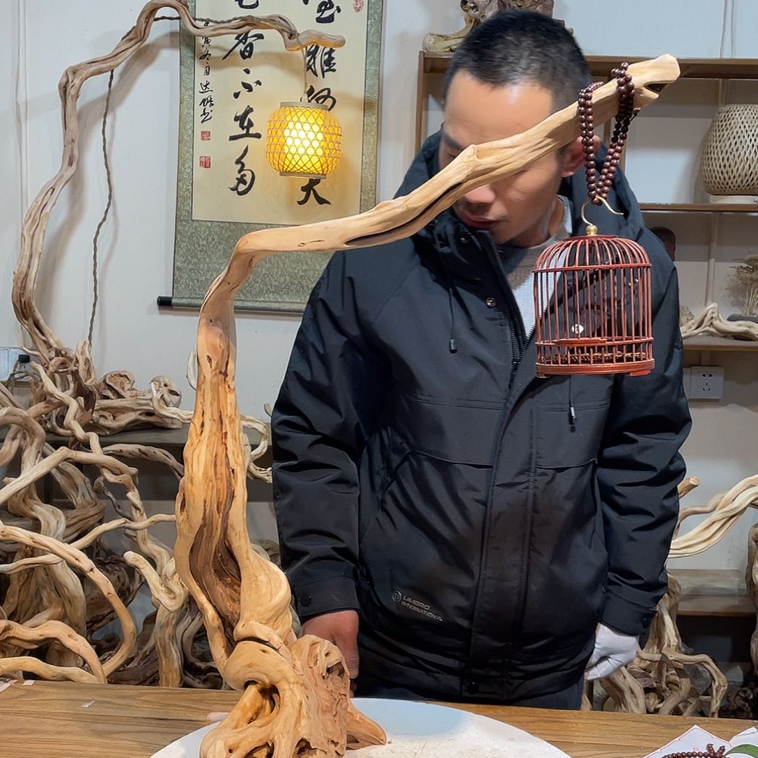 柏木杜鹃花盛开于春天