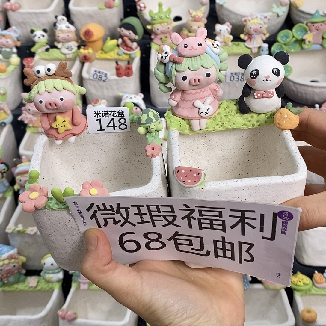 米诺多肉植物花盆148