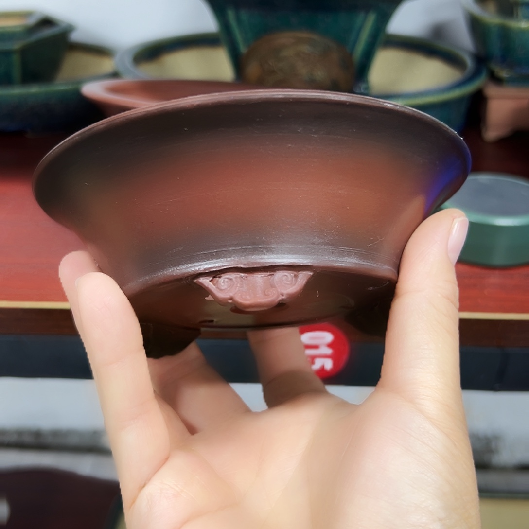 x***p本以为是三分热度，却是十分喜欢051