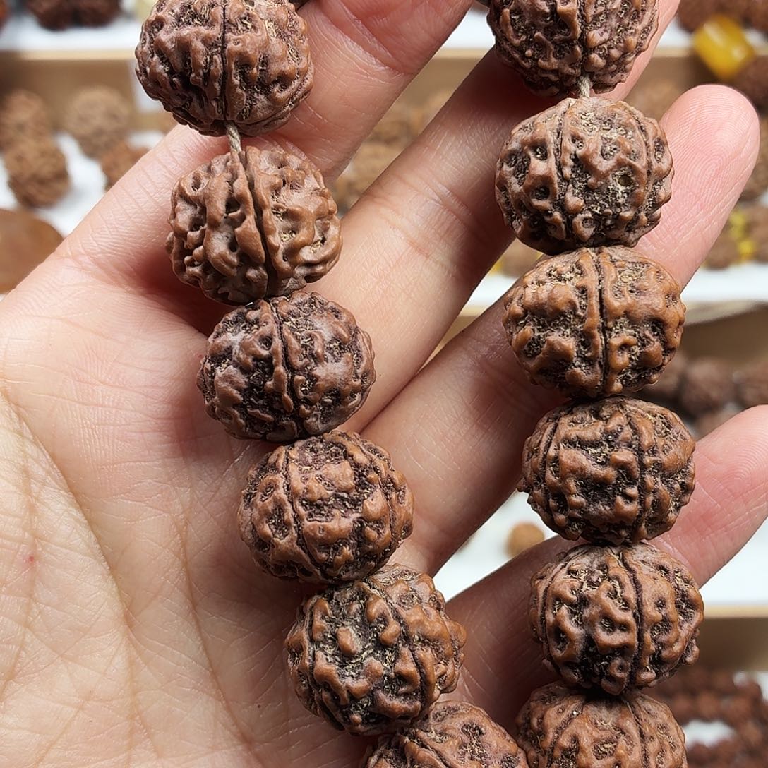 金刚菩提手串稀有精品梅花千金盘龙