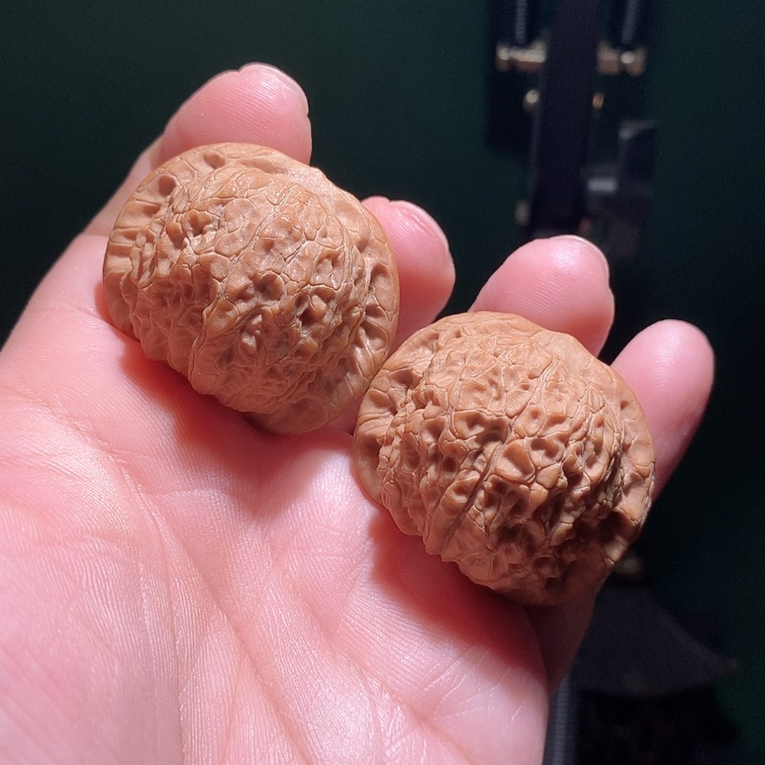 把件文玩核桃39血麒麟全品