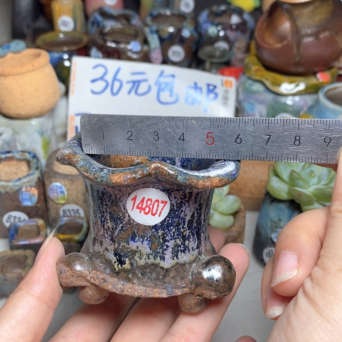 拍三送一9.9拍5送一送同款