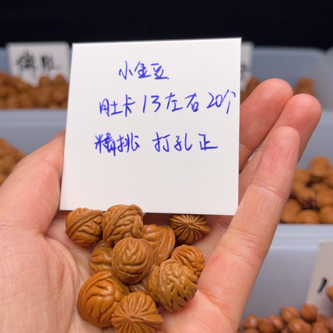 桃核把件小金豆13尺寸