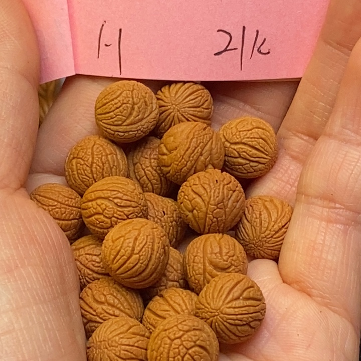 吊坠桃核秦龙纹桃核11尺寸