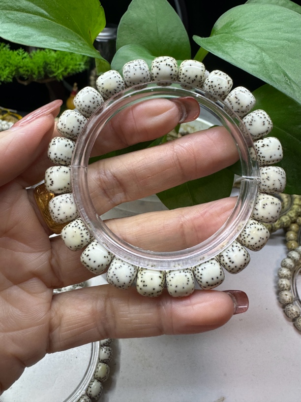 10.9y小文星月老型桶