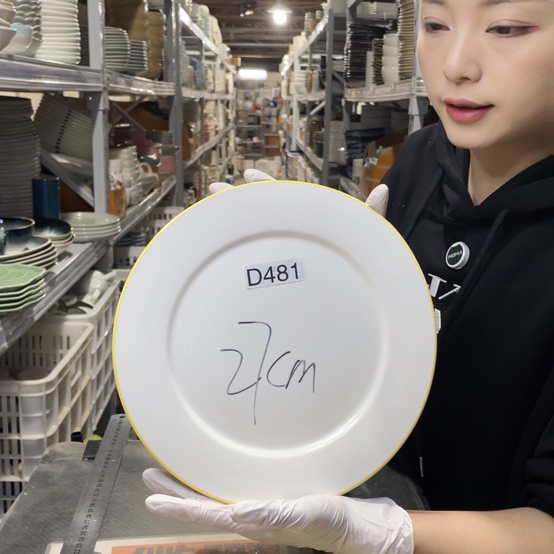 瓷片481                2个