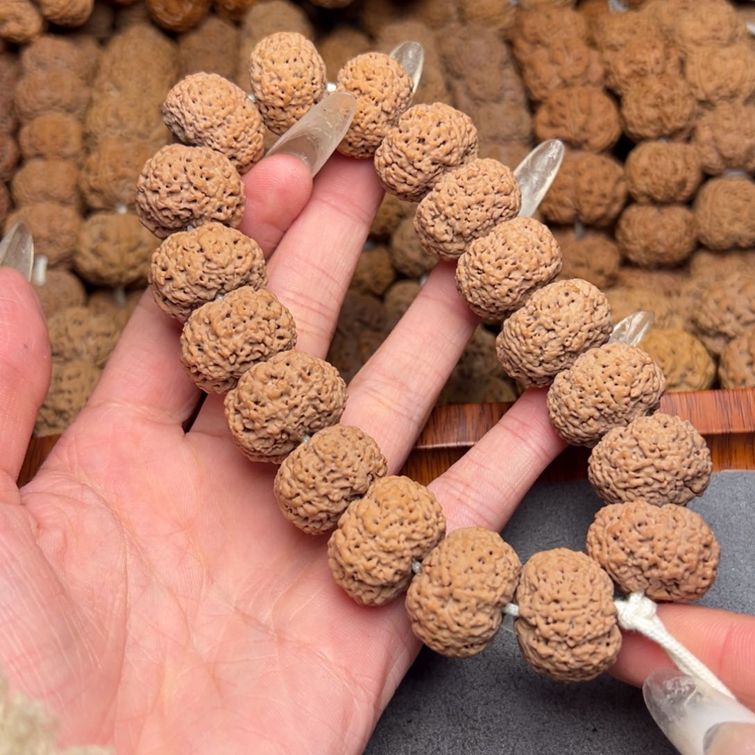 菩提5号尼泊尔大金刚21夹板菠萝蜜