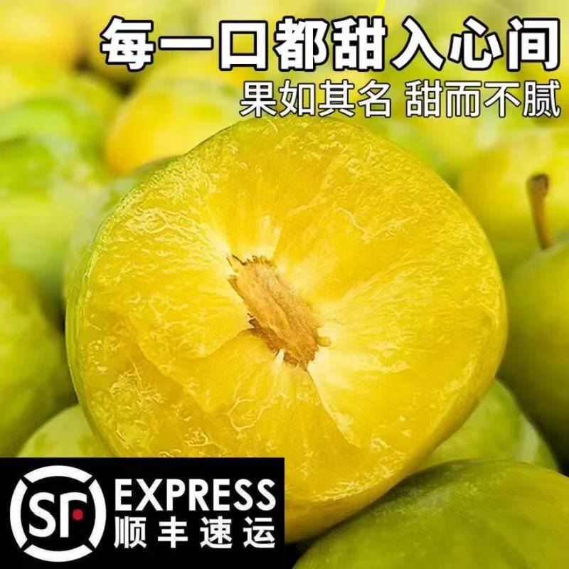 【次日就达】贵州蜂糖李3斤净重脆甜多汁 顺丰包邮 坏果包赔贵州省