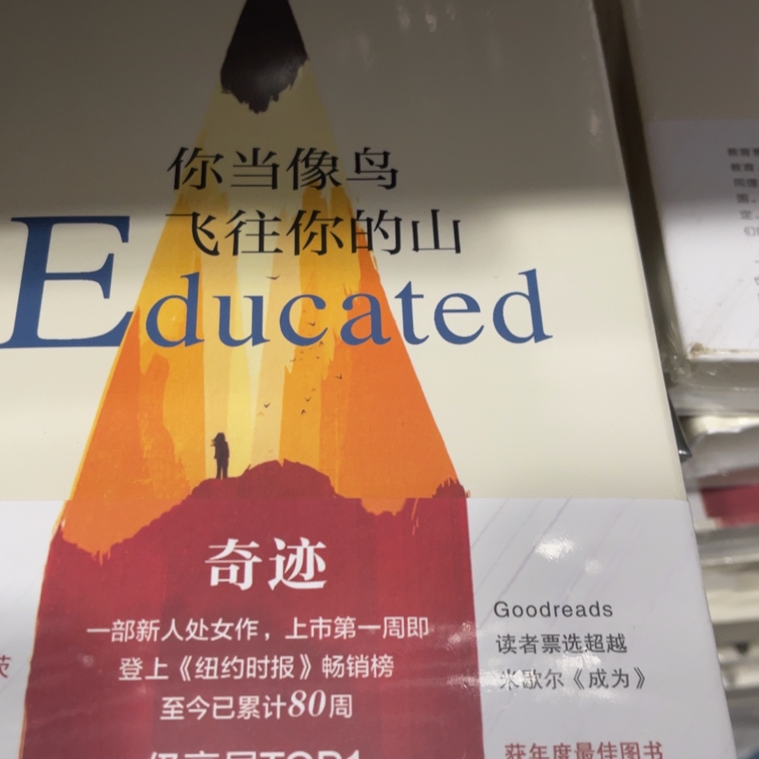 你当像鸟飞往你的山精装