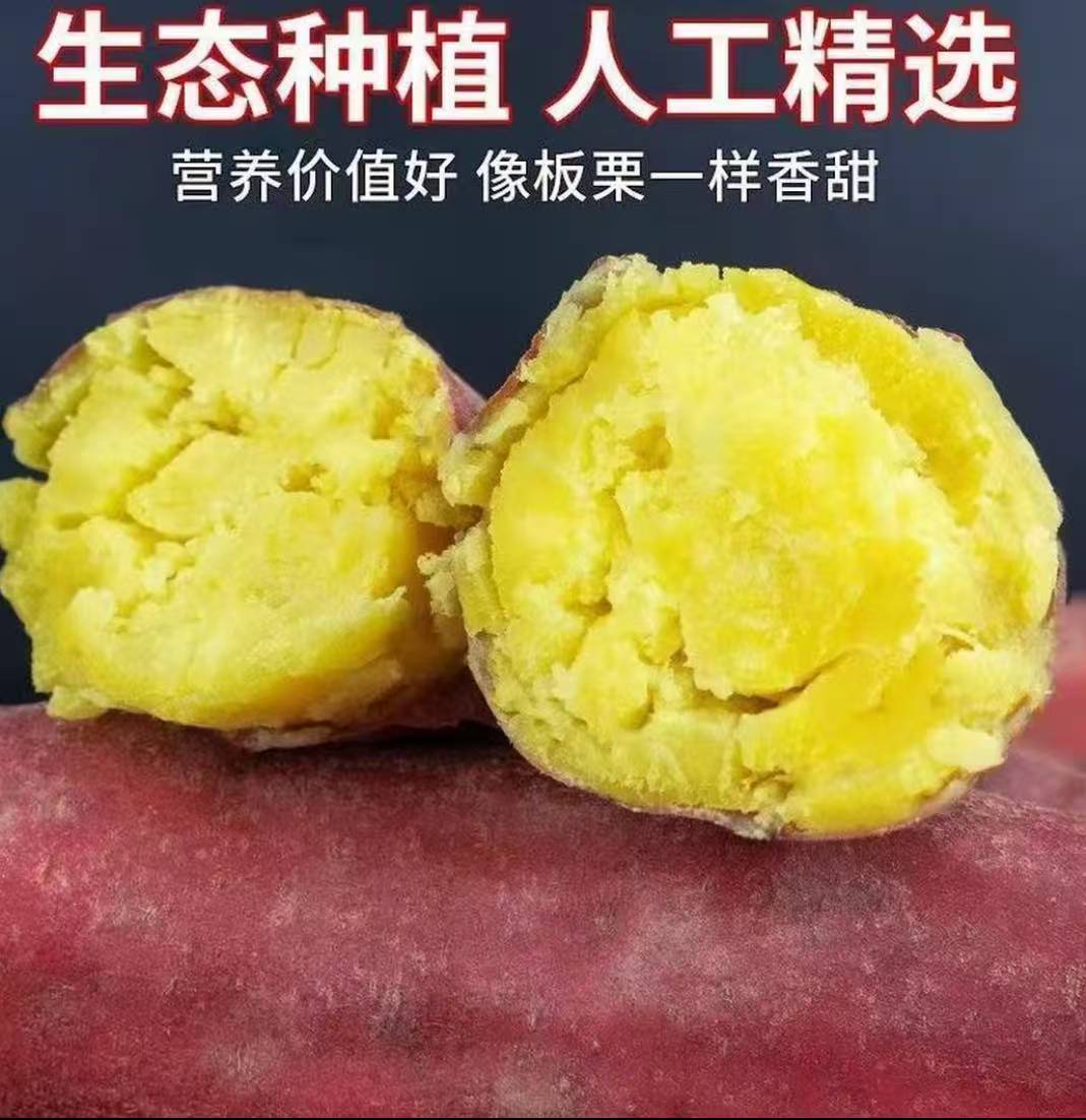 【买3斤送2斤重5斤】正宗板栗红薯蜜薯粉糯香甜饱满皮薄现挖